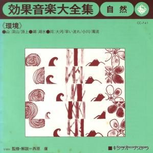 󥰥ȥ ̲[]Ķ CC-741