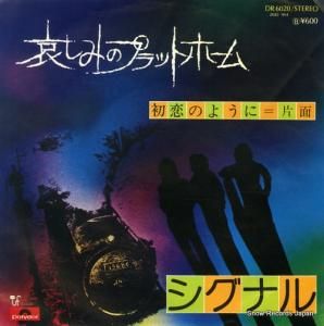 ʥ ߤΥץåȥե DR6020