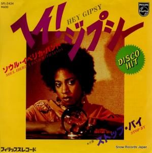 �����롦���٥ꥫ���Х�� �إ������ץ��� SFL-2454