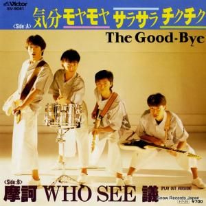 åХ ʬ䡦饵顦 SV-9041