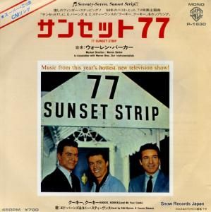 󡦥С 󥻥åȣ P-1630