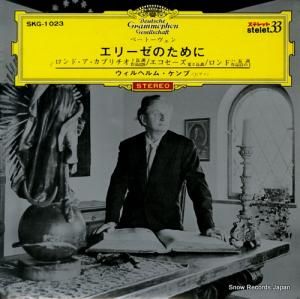 إࡦ ١ȡ󡧥꡼Τ SKG-1023