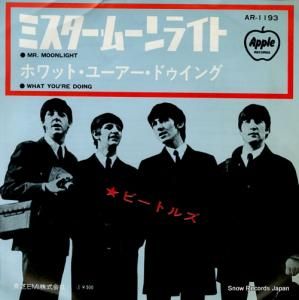 ӡȥ륺 ߥࡼ饤 AR-1193