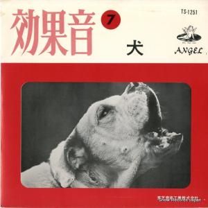 ̲7  TS-1251