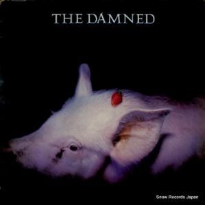  strawberries BRON542