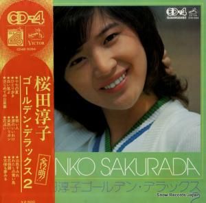 Ľ߻ ǥ󡦥ǥå CD4B-5094