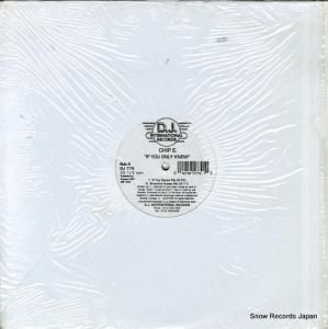 CHIP E. if you only knew DJ779