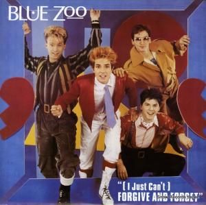 �֥롼������ (i just can't) forgive and forget 12MAG241