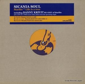 SICANIA SOUL starlite/life is a tree IU035