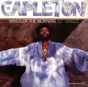 ケイプルトン - wings of the morning - 314577199-1