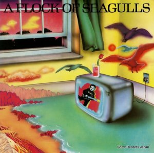 եå֡륺 a flock of seagulls VA33003