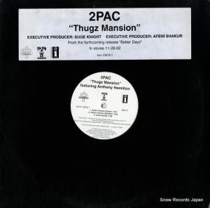 2PAC thugz mansion INTR-10878-1