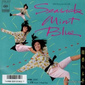 ڥϥ seaside mint blue 07SH1870