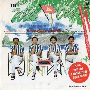 ˮɧȥ磻ɥ 򤤿ʿ DSF-214