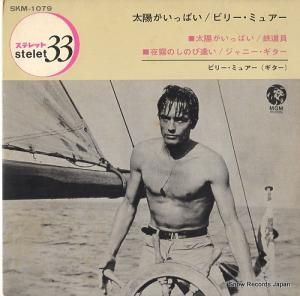 ӥ꡼ߥ奢 ۤäѤ SKM-1079