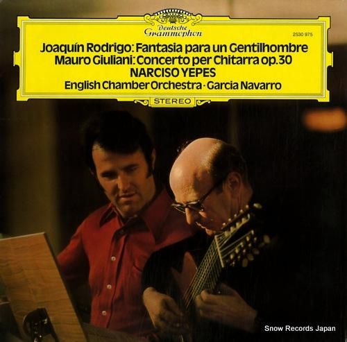 ナルシソ・イエペス rodri