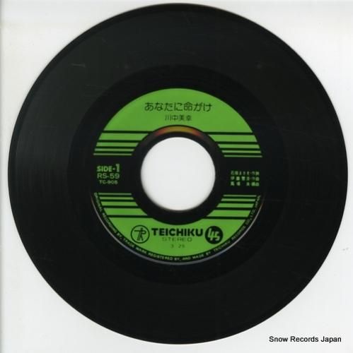 Predawn「手のなかの鳥」限定アナログ盤 レコード 低価格で大人気の レコード7inch 邦楽 - 邦楽