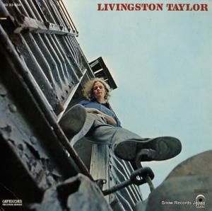 ӥ󥰥ȥ󡦥ƥ顼 livingston taylor SD33-334