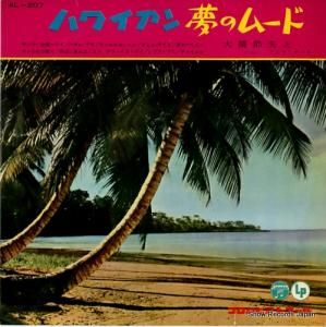 綶פȥϥˡ ϥ磻̴Υࡼ AL-207