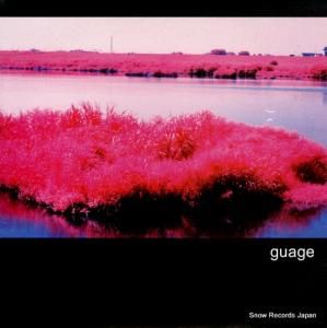 󥲡 guage RE013