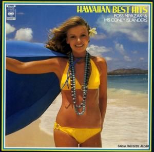 ݥܺȥˡ ϥ磻 15AH33