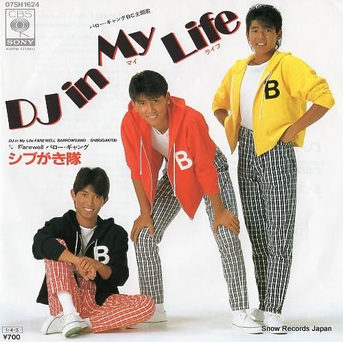 ジャパニーズHipHop12インチレコード12枚 レコード - 邦楽
