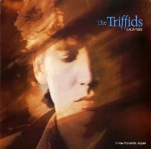 ȥե calenture ILPS9885