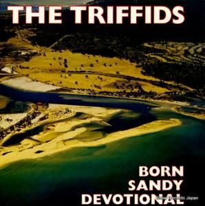 ȥե born sandy devotional HOTLP1023
