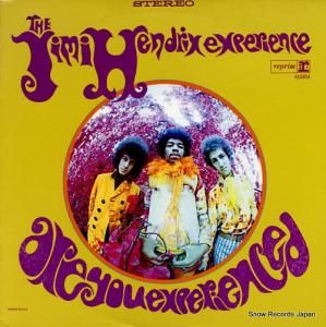 ߡإɥå are you experienced? RS-6261
