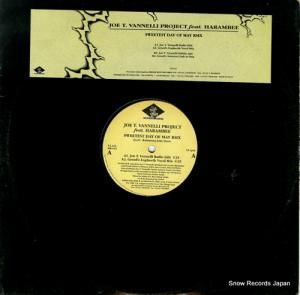 JOE T. VANNELLI PROJECT sweetest day of may rmx DB015