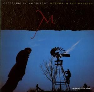 ǥ˥󥰡Хࡼ饤 method in the madness INTO2