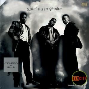 ƥ󡦥ƥ goin' up in smoke 4477266