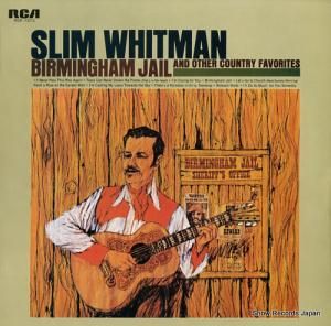 ࡦۥåȥޥ Сߥ󥬥ƹ RGP-1013