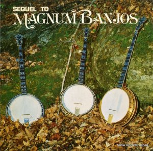 BROWN, SULLIVAN AND COMPANY sequel to magnum banjos SR1935