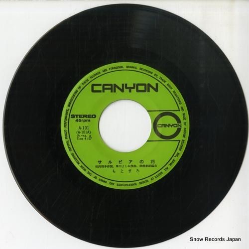 もとまろ - サルビアの花 -