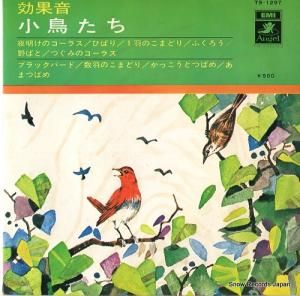 効果音 小鳥たち TS-1297