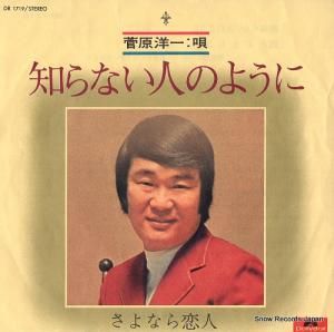 ΰ ΤʤͤΤ褦 DR1719