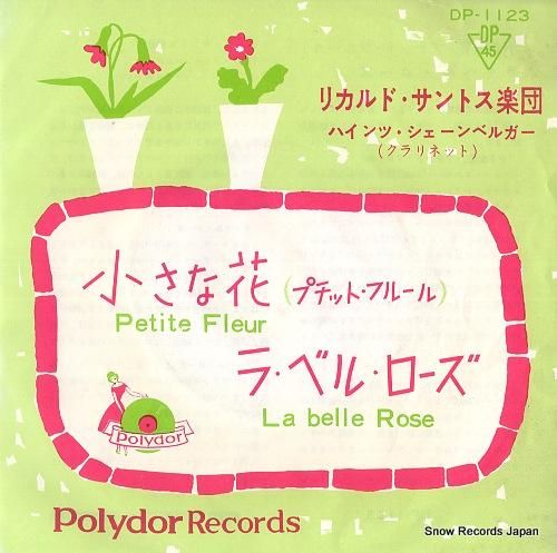 リカルド・サントス楽団 小さな