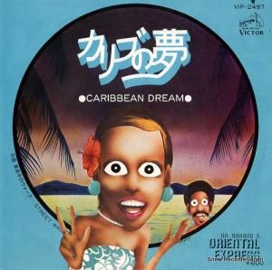 ɥɥ饴ꥨ󥿥롦ץ쥹 ̴֤ VIP-2497