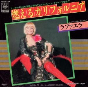 ե ǳ륫ե˥ 06SP238