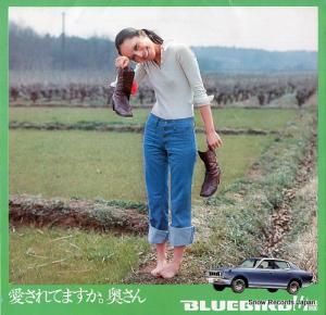 ե󥯱ʰ桿ޤĤҤ Ƥޤ FM-6230