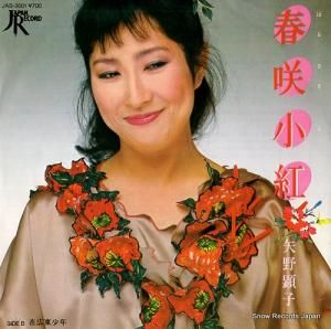  պ龮 JAS-2001