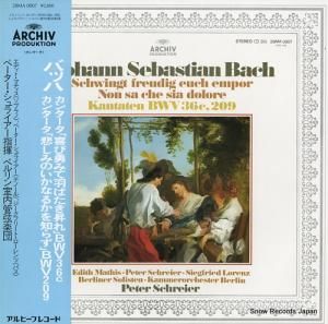 ڡ饤䡼 - Хåϡ󥿡ִͦߤƱФףc - 28MA0007