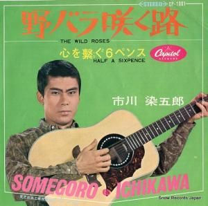 市川染五郎 野バラ咲く路 CP-1001