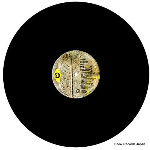 ウィル・ダウニング - a l