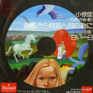 ̺ - 褫鲿زΰ٤ - DI-1273