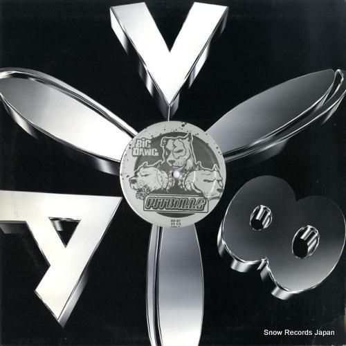 BIG KAP &amp; FAT MAN SCOOP party anthem AV-97 | レコード通販