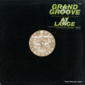 ƥꥸȡեåɥ - grand groove / at large - MR-098