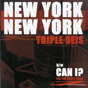 ȥץ롦 - new york new york - ILL72032