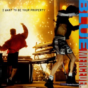 ֥롼륻ǥ - i want to be your property - MCA-23853
